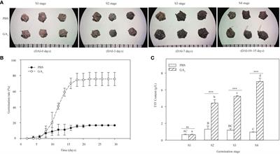 Comparative transcriptome analysis reveals the potential mechanism of GA3-induced dormancy release in Suaeda glauca black seeds
